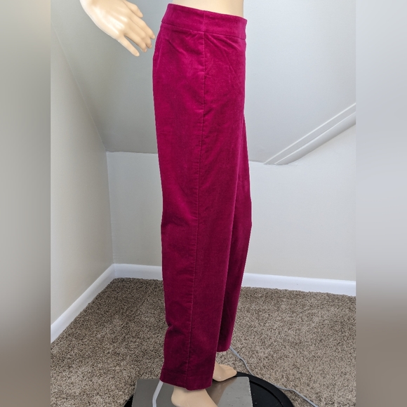 Velvet Fusia Talbots Curvy Pants Size 10P - Picture 3 of 11